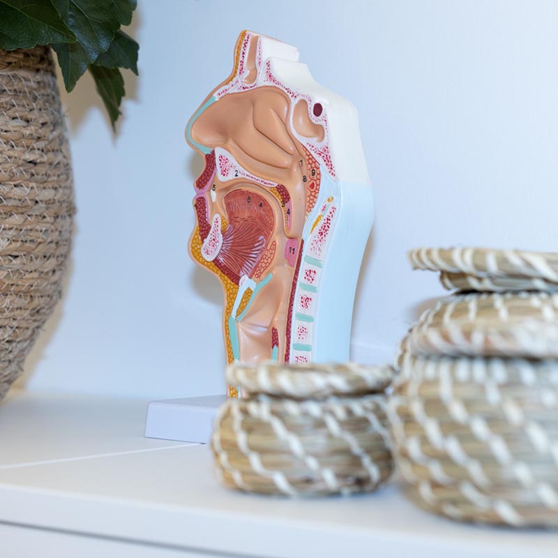 Wortstark-Praxis-Content_0000s_0014_Bild_00108